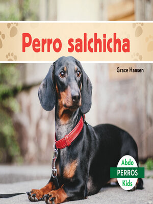 cover image of Perro salchicha